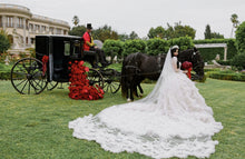 C2024-BG313 - Crystal beaded embroidered ball gown wedding dress with bling and long sleeves